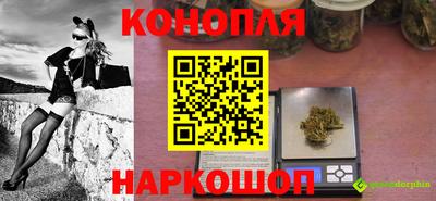 spice Усть-Джегута