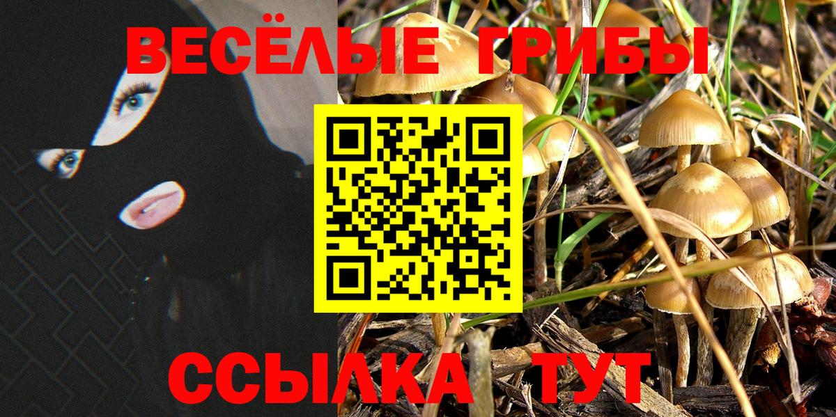 Галлюциногенные грибы ЛСД Лабытнанги
