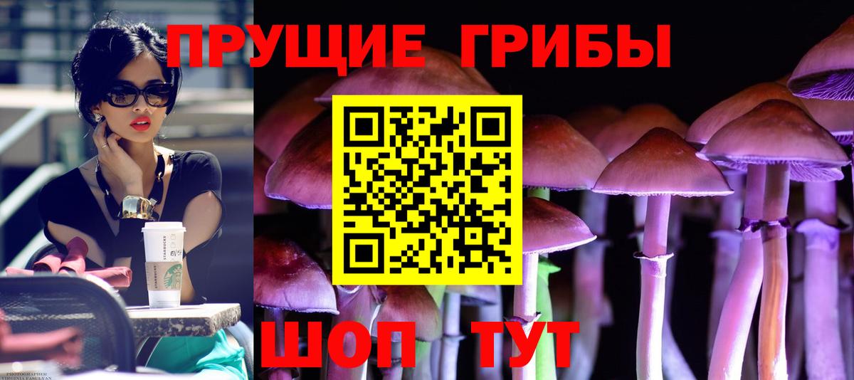 Лабытнанги  Псилоцибиновые грибы прущие грибы  купить наркотик  Вход с VPN 